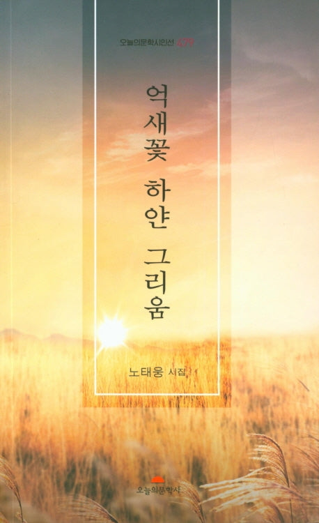 억새꽃 하얀 그리움(오늘의문학시인선 479)