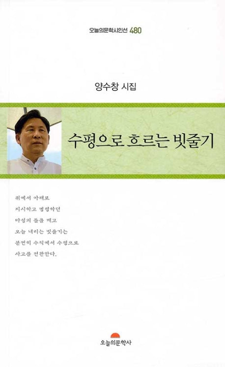 수평으로 흐르는 빗줄기(오늘의문학 시인선 480)