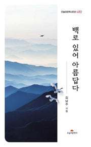 백로 있어 아름답다(오늘의문학 시인선 492)