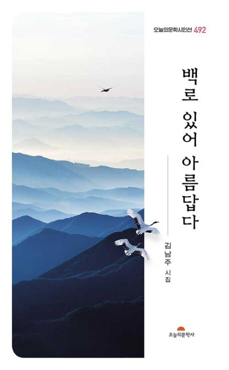 백로 있어 아름답다(오늘의문학 시인선 492)