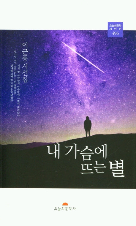 내 가슴에 뜨는 별(오늘의문학시인선 496)