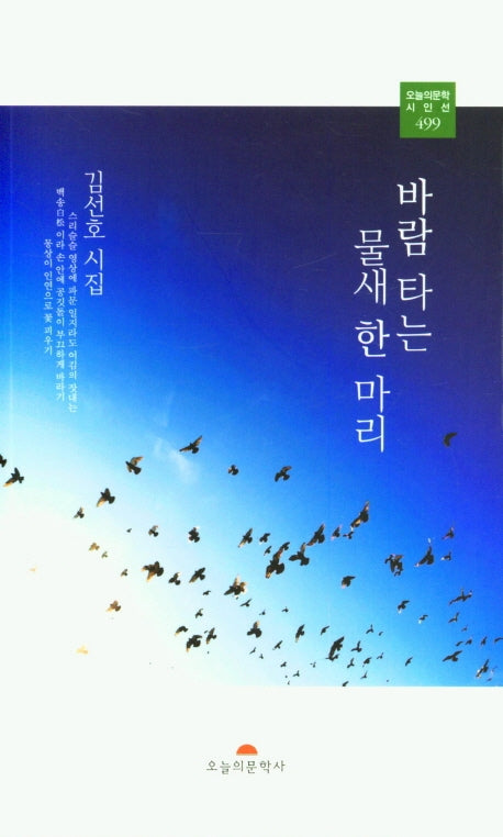 바람 타는 물새 한 마리(오늘의 문학 시인선 499)