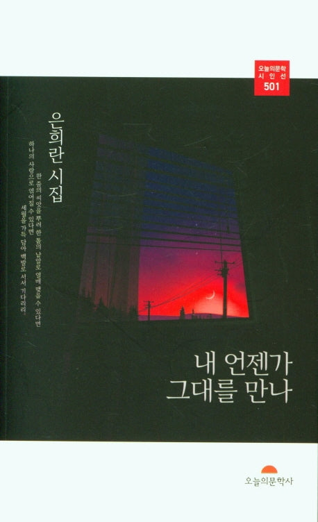 내 언젠가 그대를 만나(오늘의문학 시인선 501)