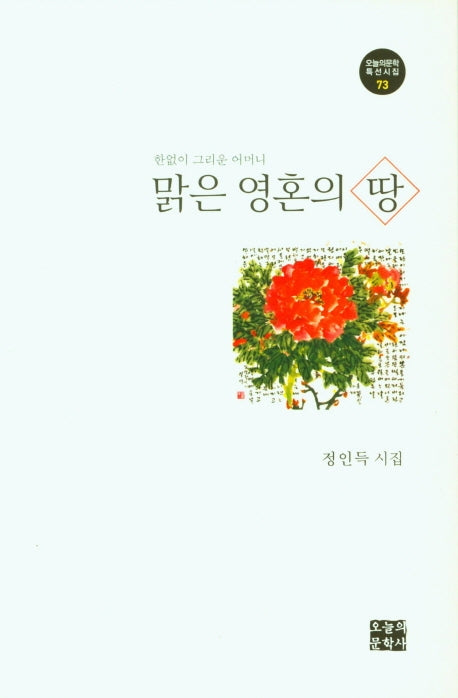 맑은 영혼의 땅(오늘의문학 특선시집 73)