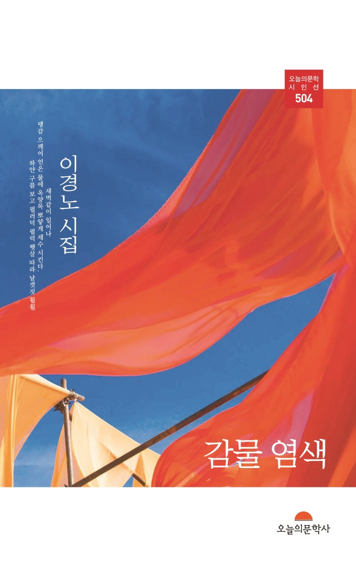 감물 염색(오늘의문학시인선 504)