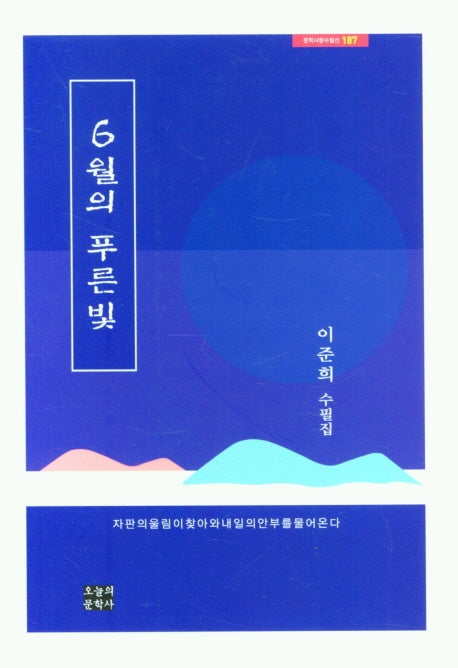 6월의 푸른빛(문학사랑수필선 187)