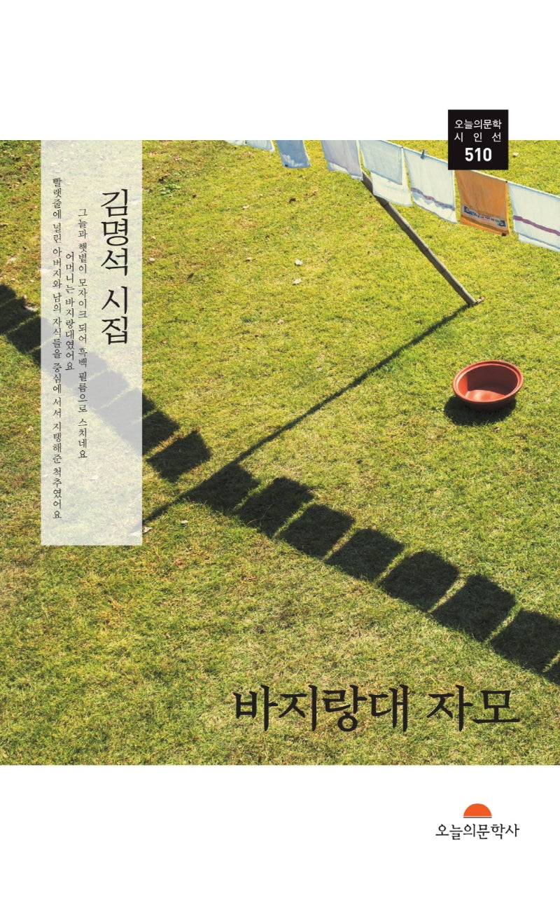 바지랑대 자모(오늘의문학 시인선 510)
