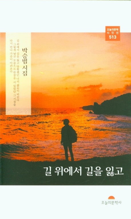 길 위에서 길을 잃고(오늘의문학 시인선 513)