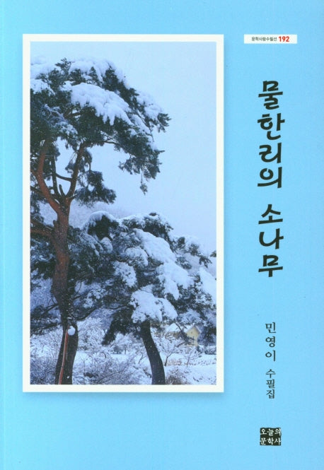 물한리의 소나무