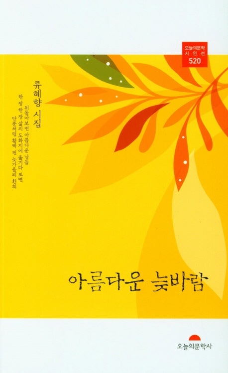 아름다운 늦바람(오늘의문학 시인선 520)