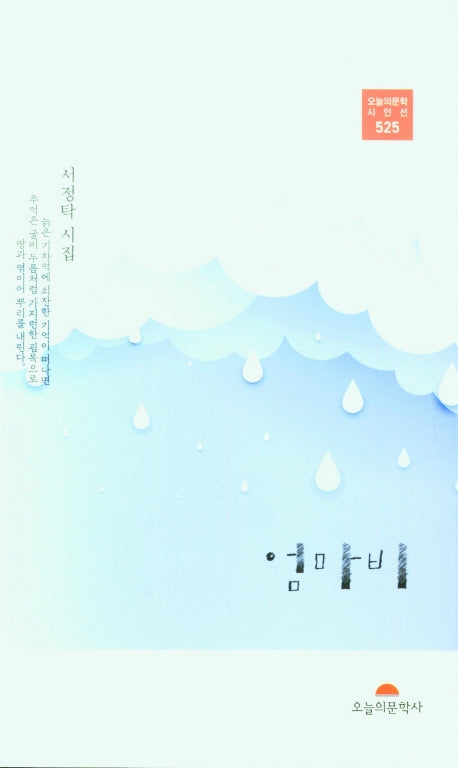 엄마비(오늘의 문학 시인선 525)