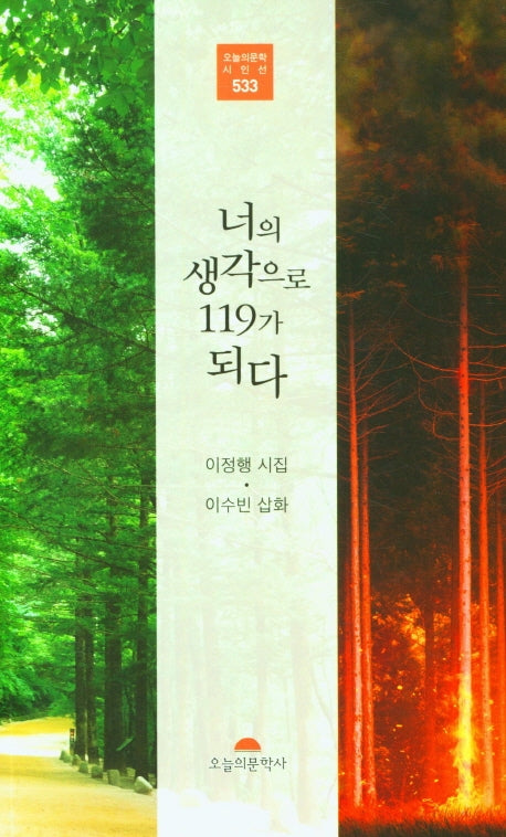 너의 생각으로 119가 되다(오늘의문학시인선 533)