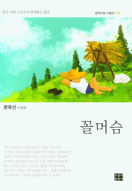 꼴머슴(문학사랑 수필선 195)