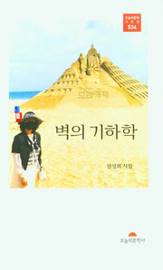 벽의 기하학(오늘의문학시인선 536)