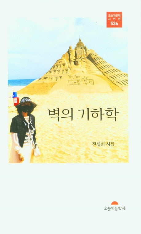 벽의 기하학(오늘의문학시인선 536)