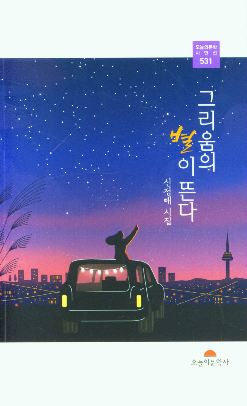 그리움의 별이 뜬다(오늘의문학시인선 531)