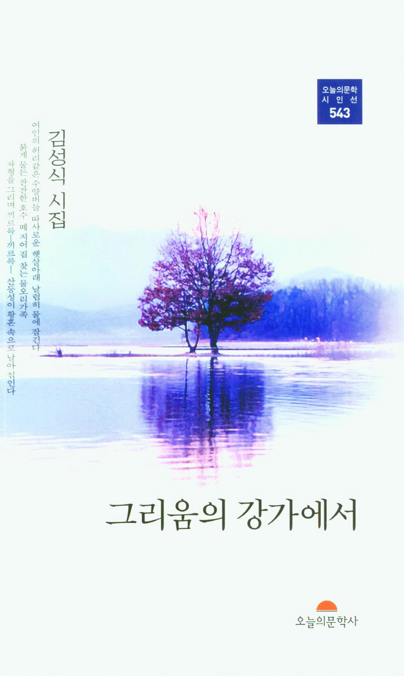 그리움의 강가에서(오늘의문학시인선 543)