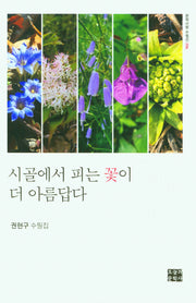 시골에서 피는 꽃이 더 아름답다(문학사랑 수필선 204)