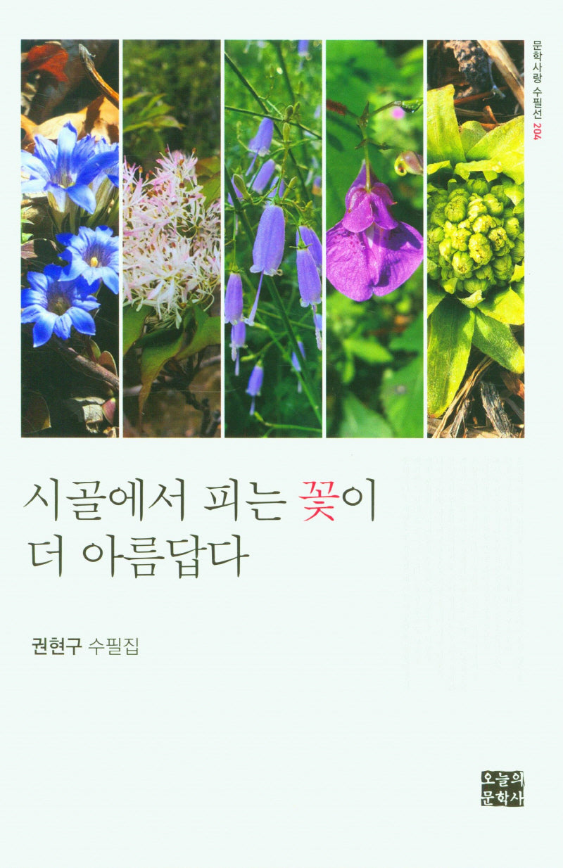 시골에서 피는 꽃이 더 아름답다(문학사랑 수필선 204)