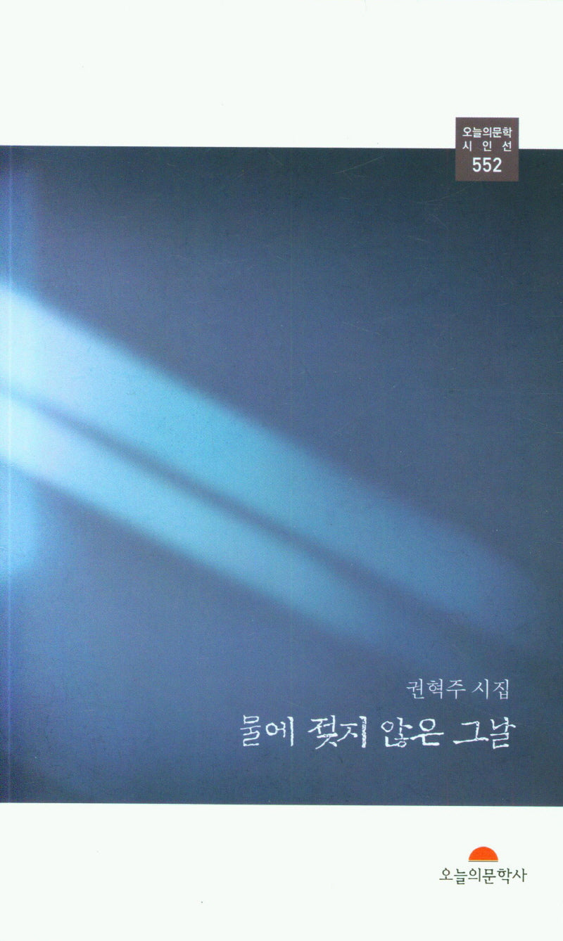 물에 젖지 않은 그날(오늘의문학시인선 552)