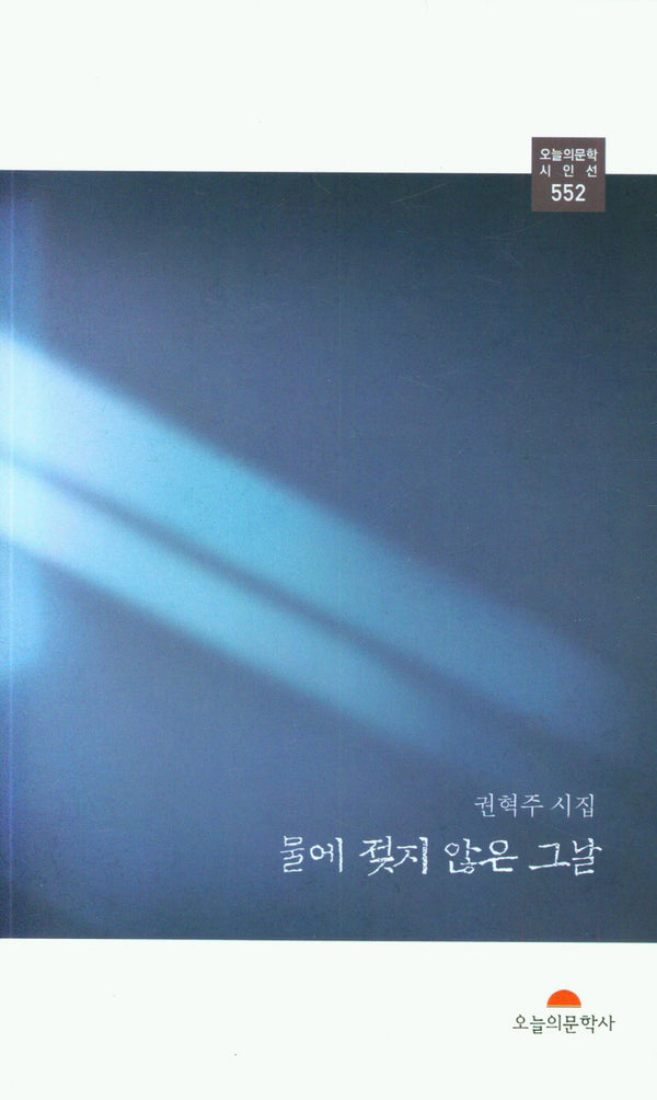 물에 젖지 않은 그날(오늘의문학시인선 552)
