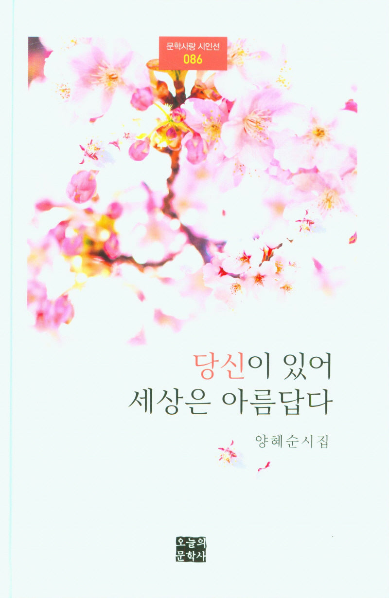 당신이 있어 세상은 아름답다(문학사랑 시인전 86)