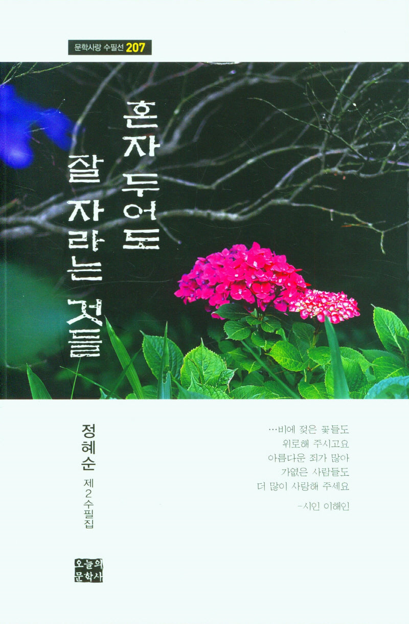 혼자 두어도 잘 자라는 것들(문학사랑 수필선 207)