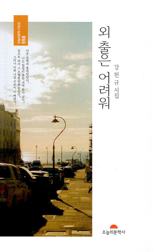 외출은 어려워(오늘의문학시인선 558)