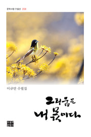 그리움은 내 몫이다(문학사랑 수필선 208)