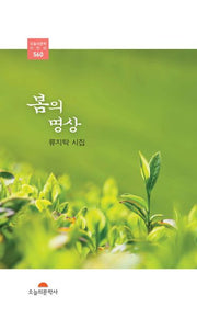 봄의 명상(오늘의문학시인선 560)