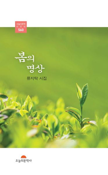 봄의 명상(오늘의문학시인선 560)