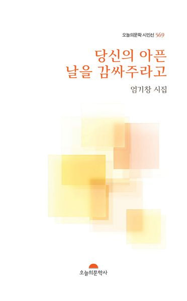 당신의 아픈 날을 감싸주라고(오늘의문학시인선 569)