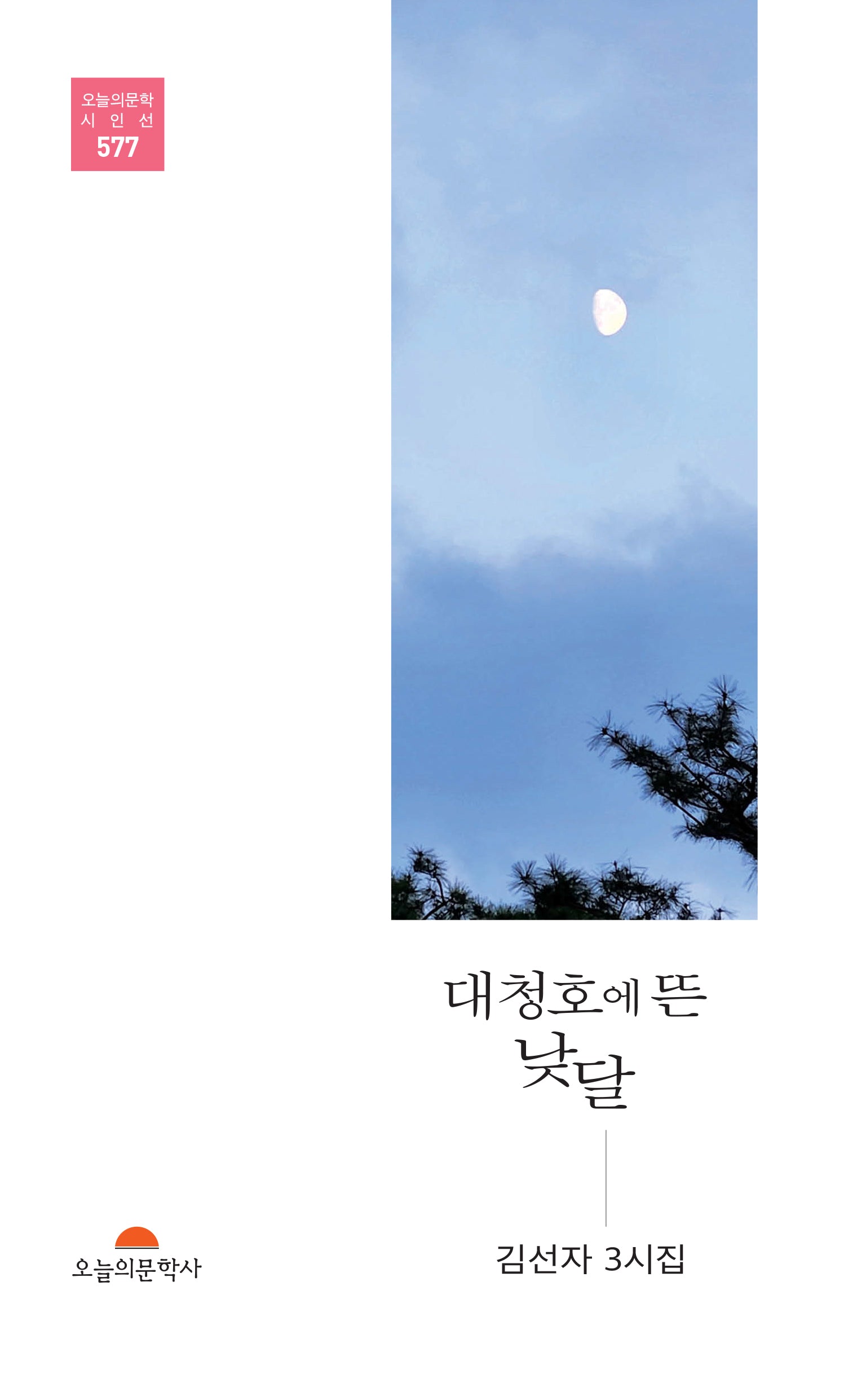 대청호에 뜬 낮달(오늘의문학시인선 577)