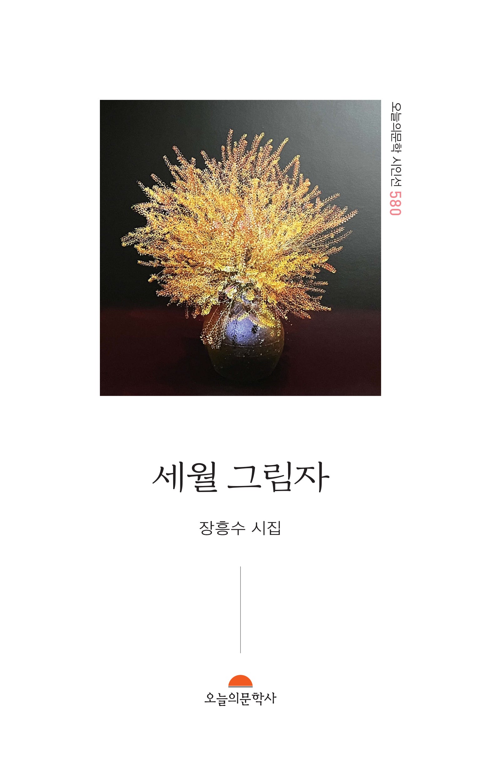 세월 그림자(오늘의문학시인선 580)