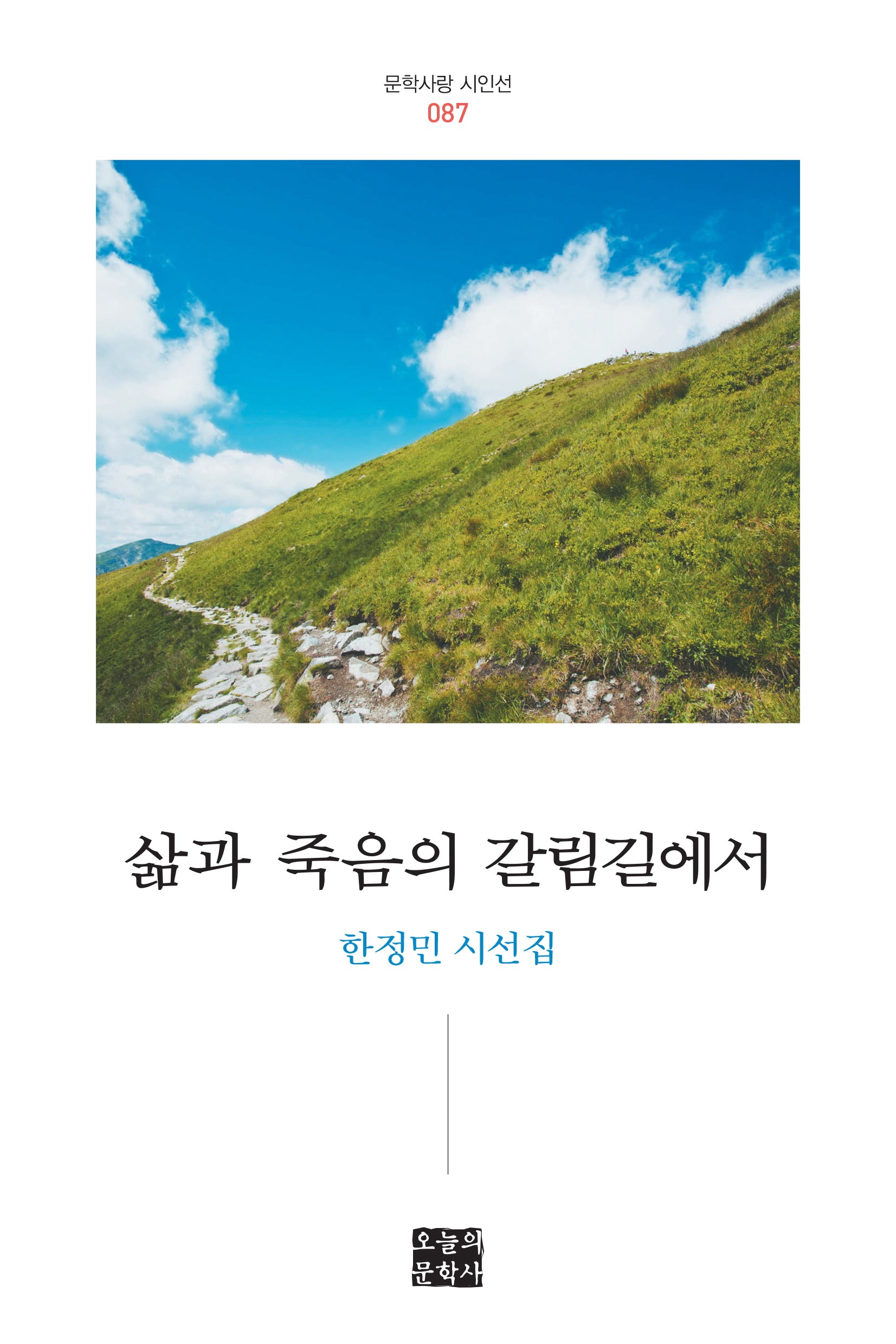 삶과 죽음의 갈림길에서(문학사랑 시인선 87)(양장본 Hardcover)