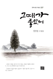 그때가 좋았어(문학사랑 수필선 227)