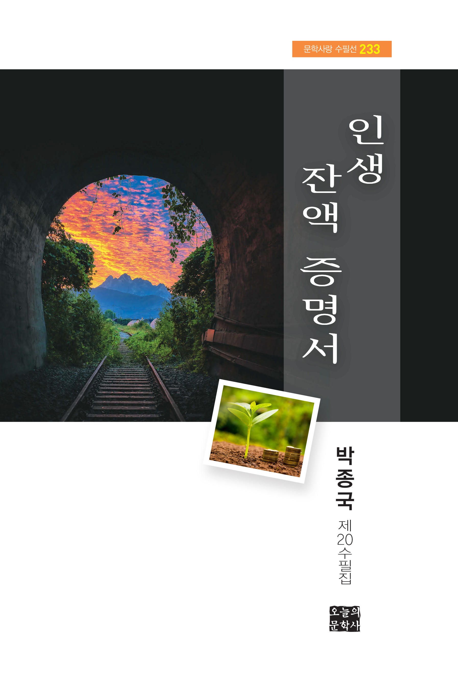 인생 잔액 증명서(문학사랑 수필선 233)