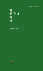 별꽃에게 묻다(오늘의문학시인선 613)