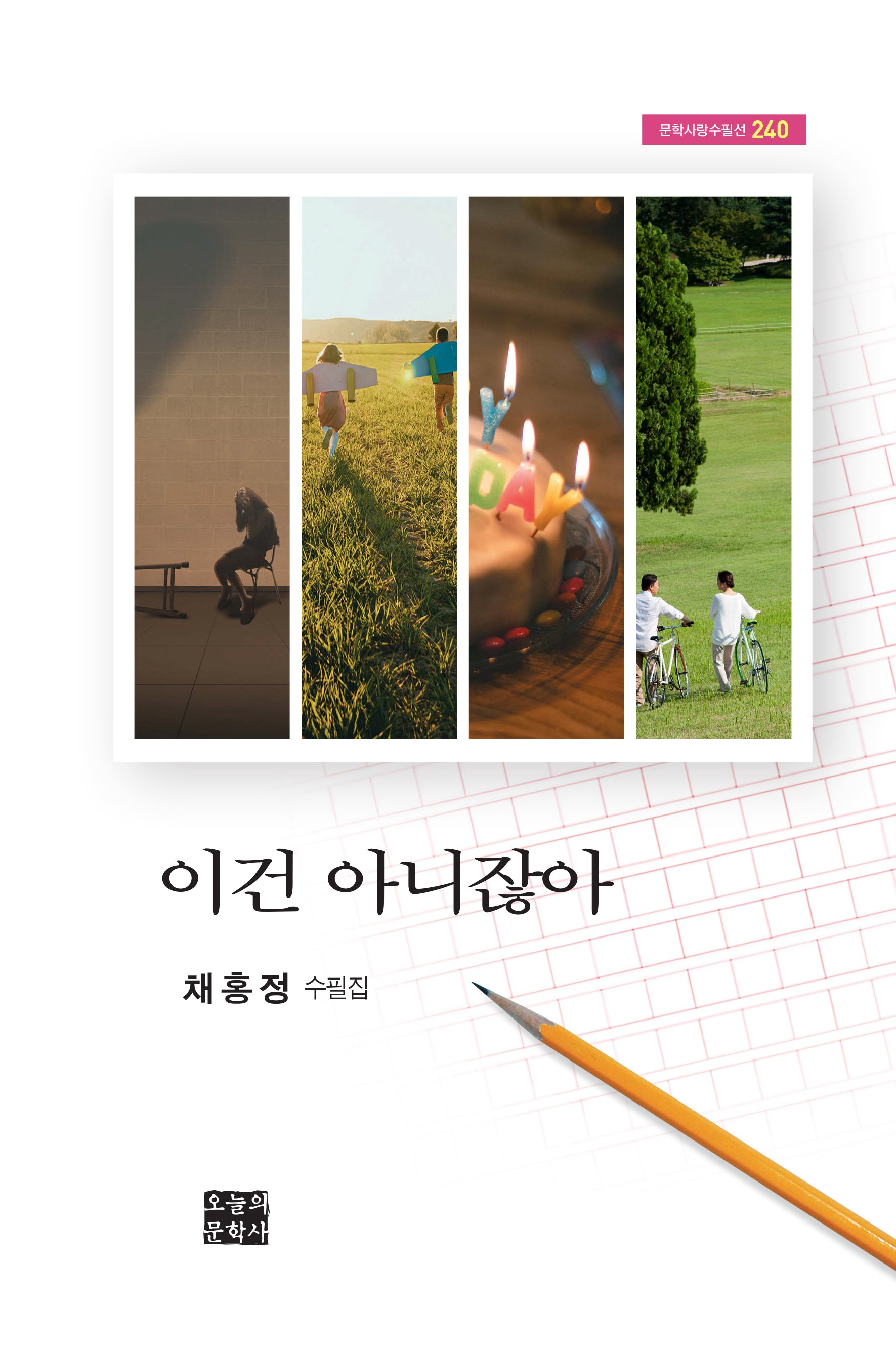 이건 아니잖아(문학사랑 수필선 240)