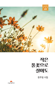 작은 풀꽃으로 살아도(오늘의 문학시인선 620)