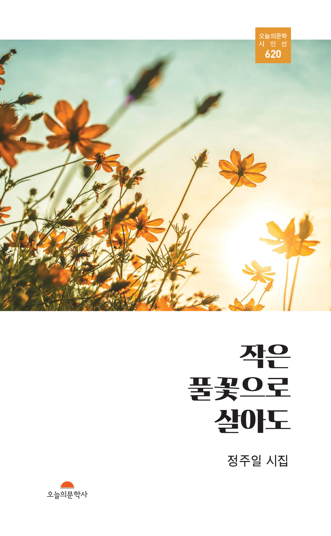 작은 풀꽃으로 살아도(오늘의 문학시인선 620)