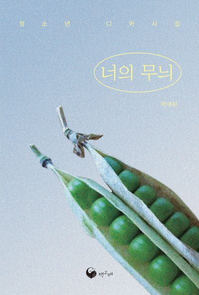 너의 무늬