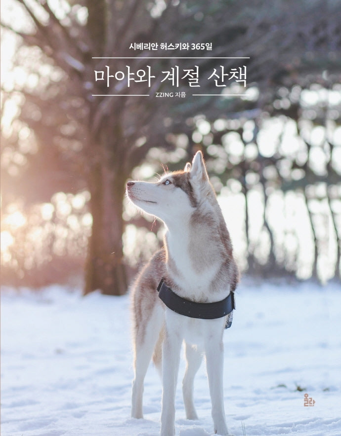 마야와 계절 산책: 시베리안 허스키와 365일