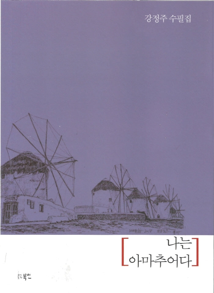 나는 아마추어다