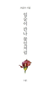 입술이 칸나 꽃잎처럼