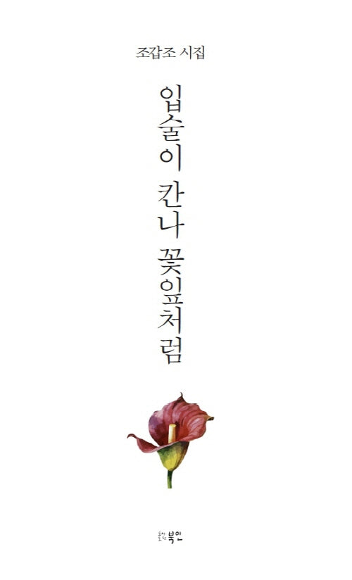 입술이 칸나 꽃잎처럼