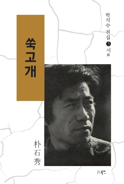 쑥고개(박석수 전집 5)