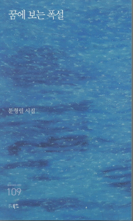 꿈에 보는 폭설(현대시세계 시인선 109)