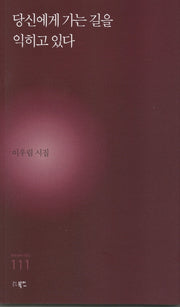 당신에게 가는 길을 익히고 있다(현대시세계 시인선 111)