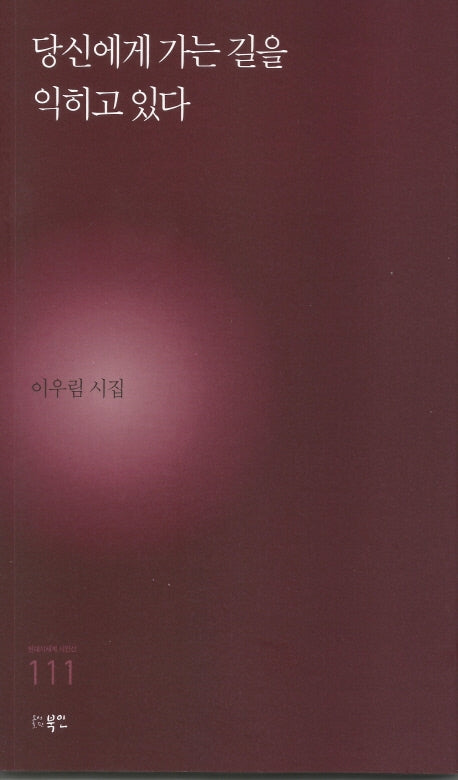 당신에게 가는 길을 익히고 있다(현대시세계 시인선 111)
